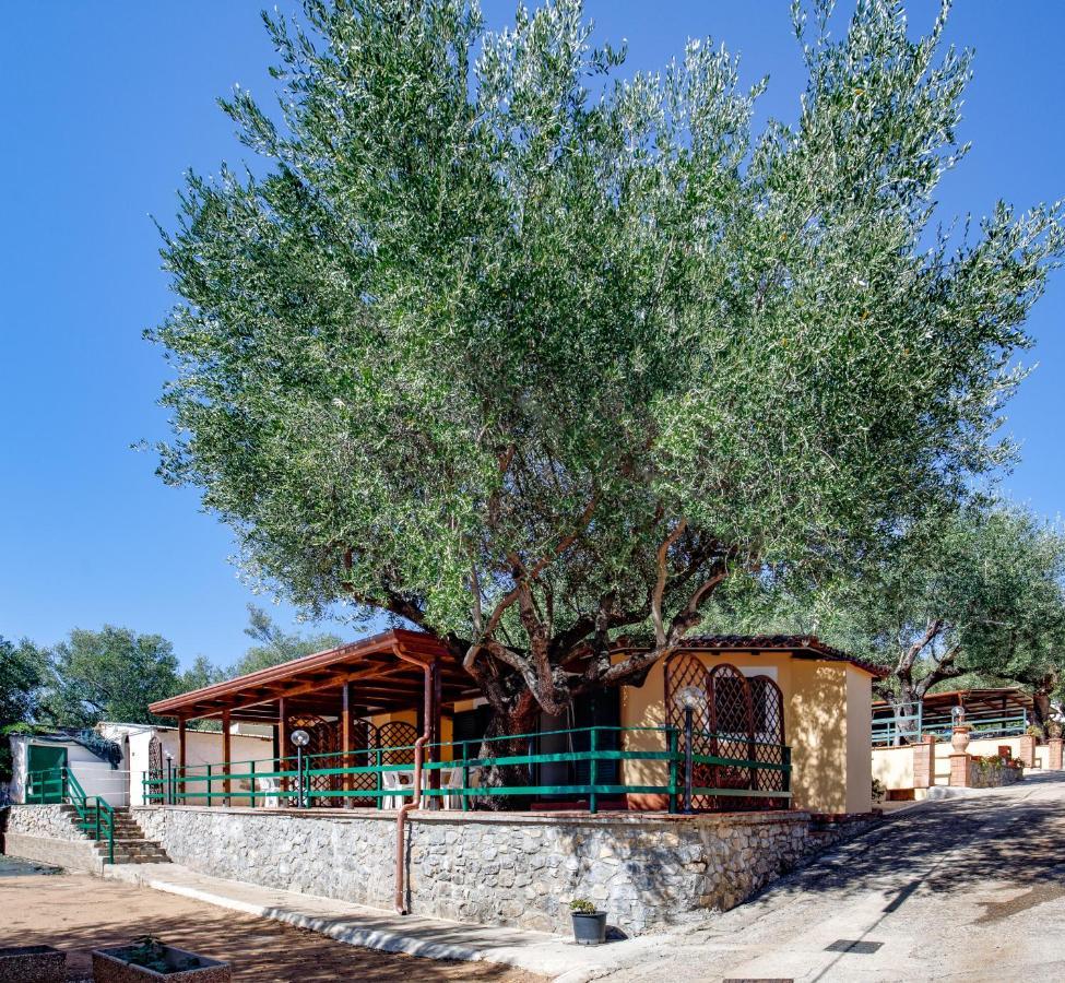 Villaggio Residence Pietra Grigia Marina di Camerota Zewnętrze zdjęcie